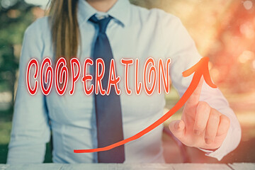 Poster - handwriting text writing cooperation. conceptual photo the acts of someone supportive in doing what 