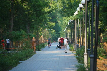 Wall Mural - walking in the park