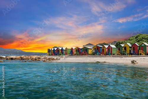 Muizenberg beach huts wooden cabins in Cape Town South Africa Poster Mural XXL