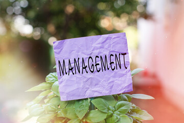 Poster - Text sign showing Management. Business photo showcasing the authoritative act of directing or controlling things Plain empty paper attached to a stick and placed in the green leafy plants