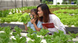 Woman and girl learning to grow organic vegetables in the farm
