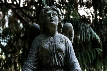 Wall Mural - Closeup shot of an angel statue in the park