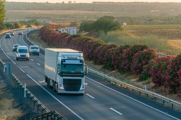 Wall Mural - Truck with refrigerated semi-trailer driving on the highway