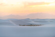 © Andriy Blokhin - White sands national monument park hills of gypsum sand dunes and plants in New Mexico with Organ mountains silhouette on horizon during colorful yellow sunset