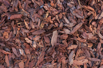 Red wooden chips lies on the ground. Abstract textured background. Copy space for your text and decorations.