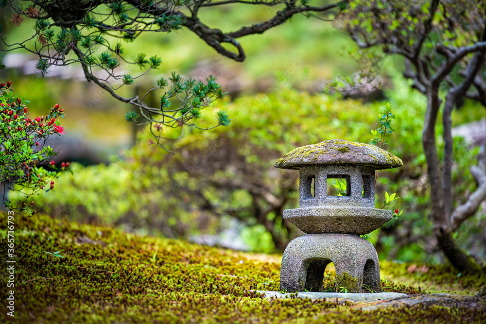 Kyoto, Japan green spring moss garden in Imperial Palace with small stone  lantern and bonsai trees of black pine and flowers Stock Photo | Adobe Stock