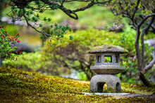 Kyoto, Japan Green Spring Moss Garden In Imperial Palace With Small Stone Lantern And Bonsai Trees Of Black Pine And Flowers