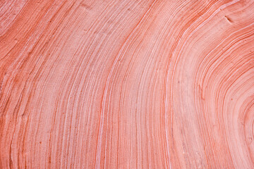 Red pink sandstone layers wave formation on rock wall cliff abstract closeup of design in Zion National Park in Utah on Gifford Canyon trail