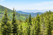 Santa Fe National Forest Park With Aspen Vista Picnic Area In Sangre De Cristo Mountains With Horizon And Green Pine Coniferous Trees In Summer