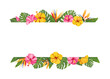 Tropical flowers frame. Hibiscus and strelitzia floral border with place for text. Vector illustration.