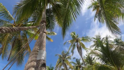 Wall Mural - swings on the sandy beach of a tropical island.