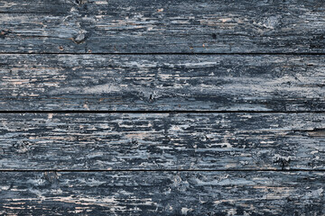 Wall Mural - Old wooden in vintage style. Surface design.Rustic closeup on white background. Wood texture abstract color backdrop.