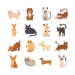 Poster - bundle of cats and dogs set icons