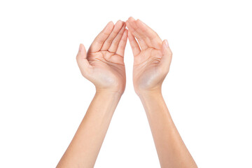 Two open female hands on white background