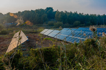 Solar panels in field