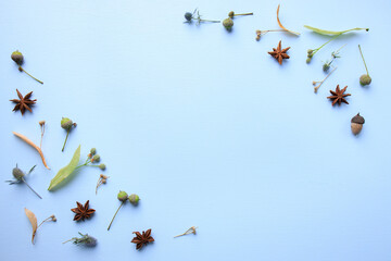 Sticker - Autumn background, border made of dried leaves and dry flowers with copy space. Seasonal composition, fall, thanksgiving day concept. Flat lay, top view