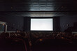 Empty cinema screen with audience. Ready for adding your picture.