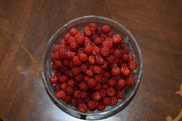 Wall Mural - japanische Weinbeeren