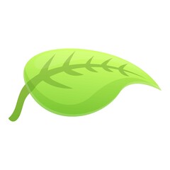 Poster - Textile green leaf icon. Cartoon of textile green leaf vector icon for web design isolated on white background