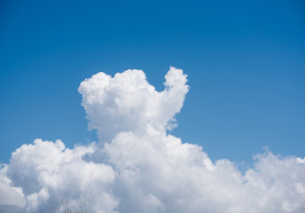 elephant in the sky