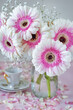 Beautiful bouquet of a pink fresh gerberas flowers. Pastel tonality.