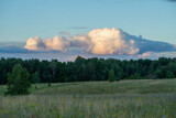 Fototapeta  - Above Forest Floating Cumulus Clouds In Evening In Summer.