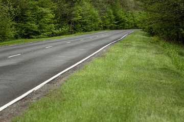 Wall Mural - Beautiful summer landscape green forest and road in the forest.