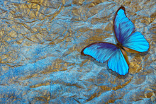 Gold Blue Texture Background. Bright Blue Morpho Butterfly On A Golden Crumpled Paper.
