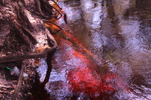 Bleeding River