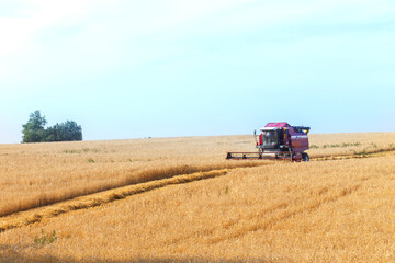 Wall Mural - combine harvester working