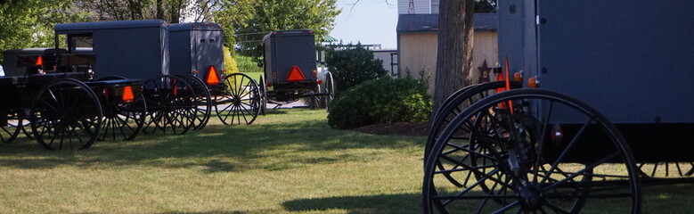 Parked Buggies