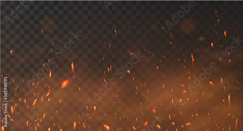 Cuadros en Lienzo Realistic fire sparks background on a transparent background
