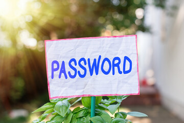 Wall Mural - Conceptual hand writing showing Password. Concept meaning the hidden word or expression to be used to gain access to something Plain paper attached to stick and placed in the grassy land