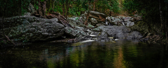 Wall Mural - A magic time in the rainforest. Several small falls dropping from mossy rocks.  The Stoney Creek, Kamerunga, Cairns, Far North Queensland, Australia. 