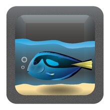 Blue Tang Fish In An Aquarium