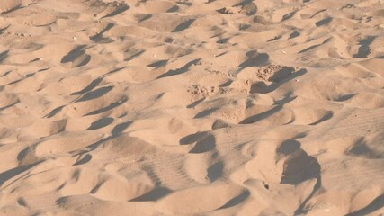 Poster - close up of sand at beach 