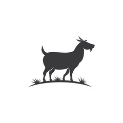 Canvas Print - Goat Logo