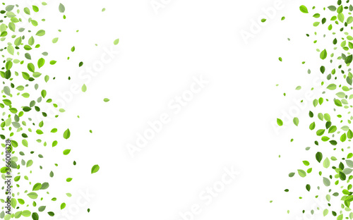 Cuadros en Lienzo Forest Leaves Motion Vector Template. Spring Leaf