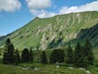 Panorama of the alps near Schröcken in Austria