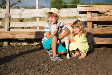 two children brother and sister embrace a goat on a farm in the summer. Staycations, hyper-local travel,  family outing, getaway, natural environment