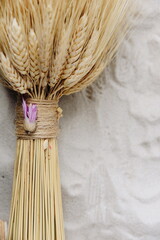 Wall Mural - dry yellow ears of wheat on white sand close up