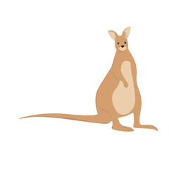 Wall Mural - Kangaroo Illustration