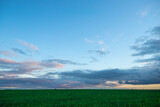 Fototapeta  - Oveг Agricultural Field Clouds In Evening In Summer.
