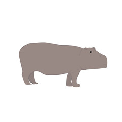 Wall Mural - Hippopotamus  Illustration