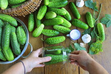 Cucumber Canning Concept. Fermented Pickled Cucumbers, H Dill Glass Jar In Women Hand