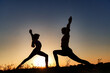 mom and daughter doing yoga outdoors at sunset