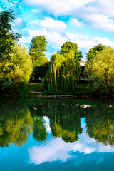 Wall Mural - autumn landscape with lake