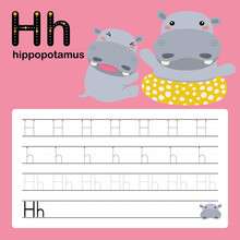 H, Hippopotamus, Alphabet Tracing Worksheet For Preschool And Kindergarten, Vector, Illustration 