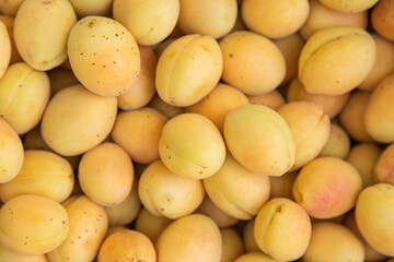 Wall Mural - fresh ripe yellow apricot close up, apricot background