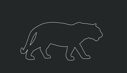 Wall Mural - Tiger vector line contour illustration isolated on black background. Big wild cat. Siberian tiger or Bengal tiger. 